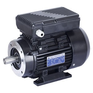 الکتروموتور تک فاز گوانگلو سری GMYL